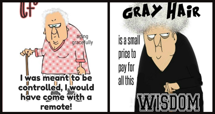 A Funny Old Lady Shows The Daily Life Struggles in 20 Jokes