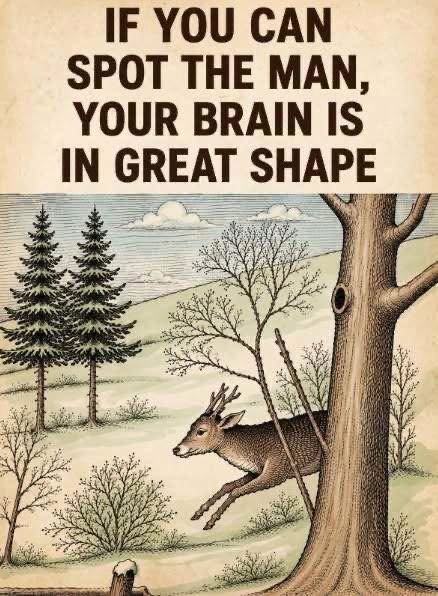 Can You Find the…