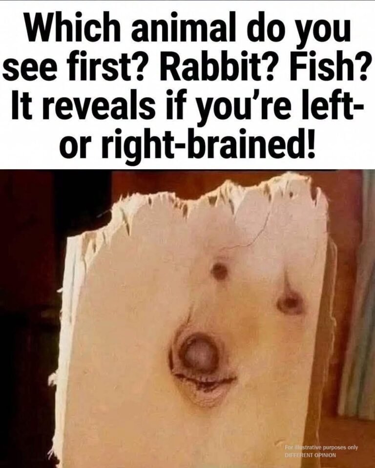Which animal do…