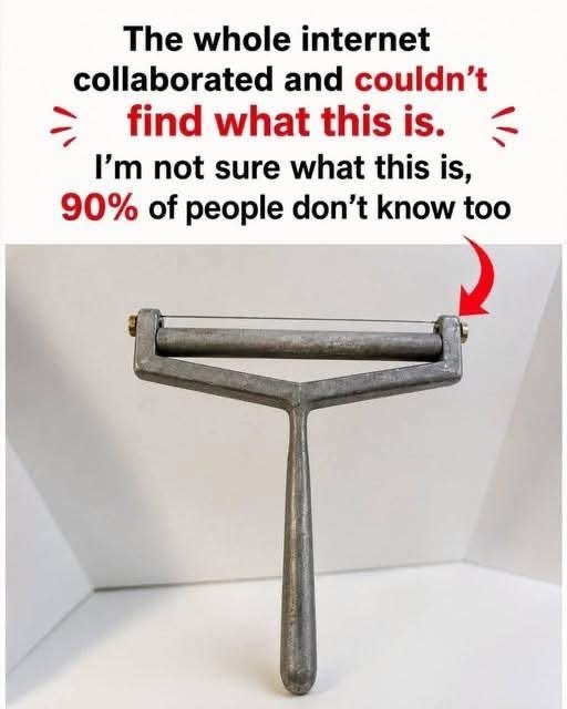 The Mysterious Kitchen Tool That Left the Internet Guessing: Do You Know What It Is?