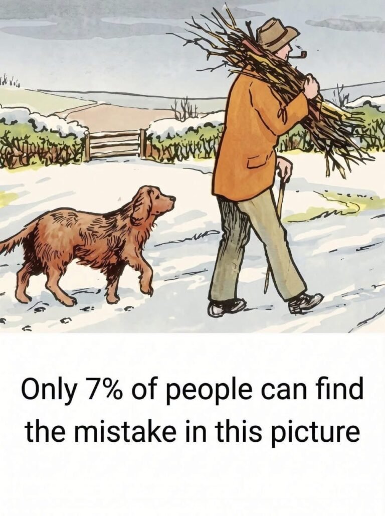 Can You Spot the Mistake in This Snowy Scene 