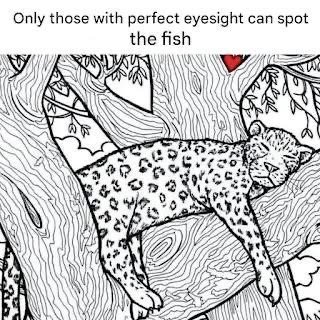 will you be able to spot the hidden fish?