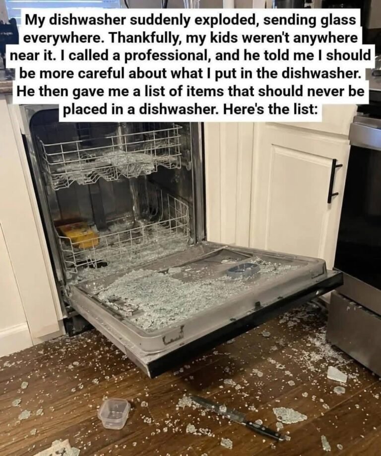 8 Things You Absolutely Should Not Put in a Dishwasher (And Why) 