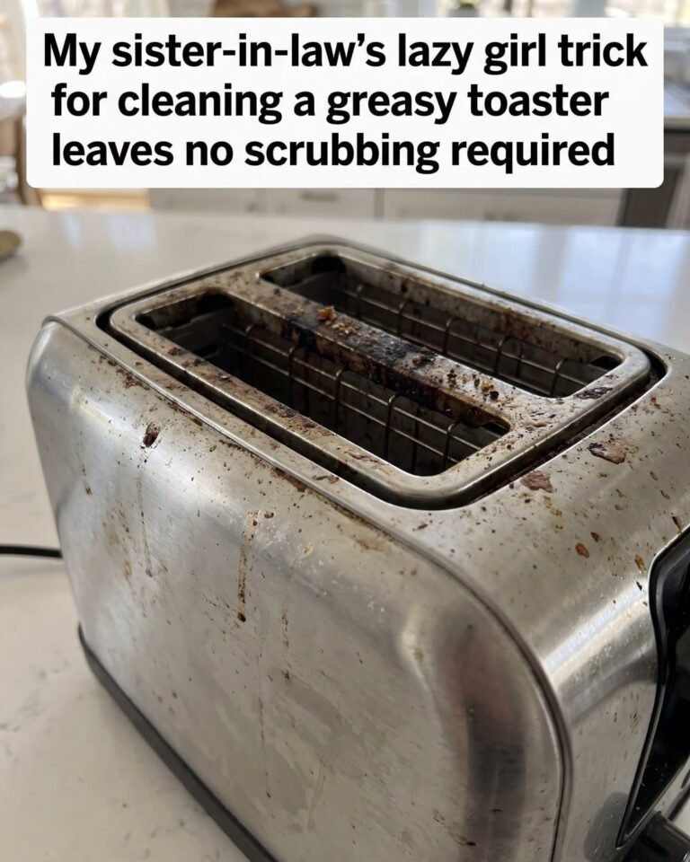 Nana’s Lazy Girl Trick for Cleaning a Greasy Toaster (No Scrubbing Required) 