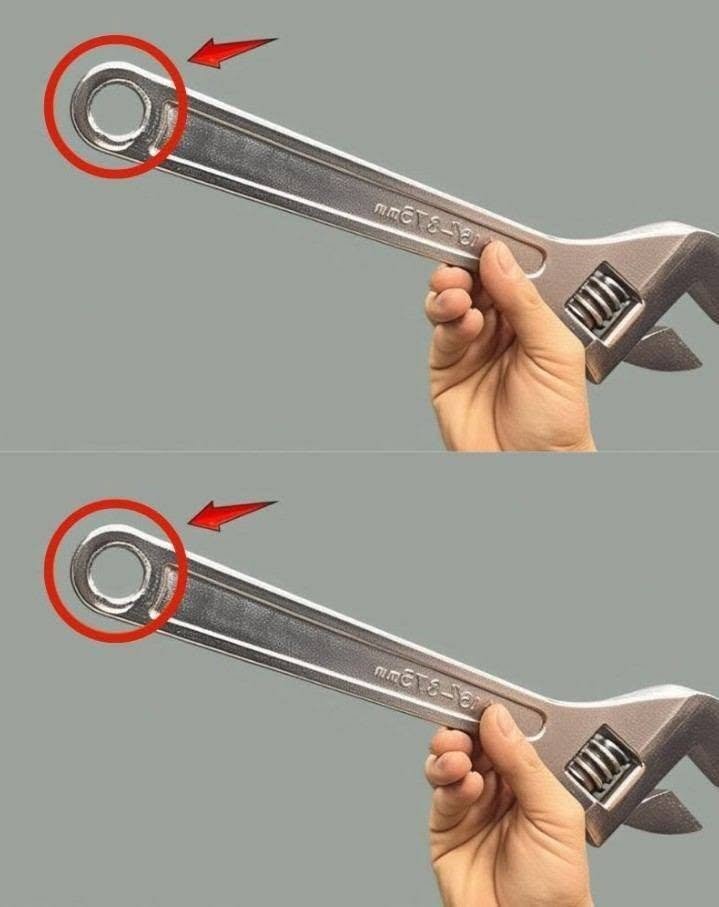 I had no idea this was a thing –