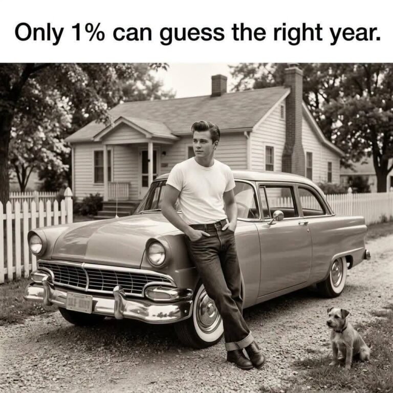 Can you guess it right?